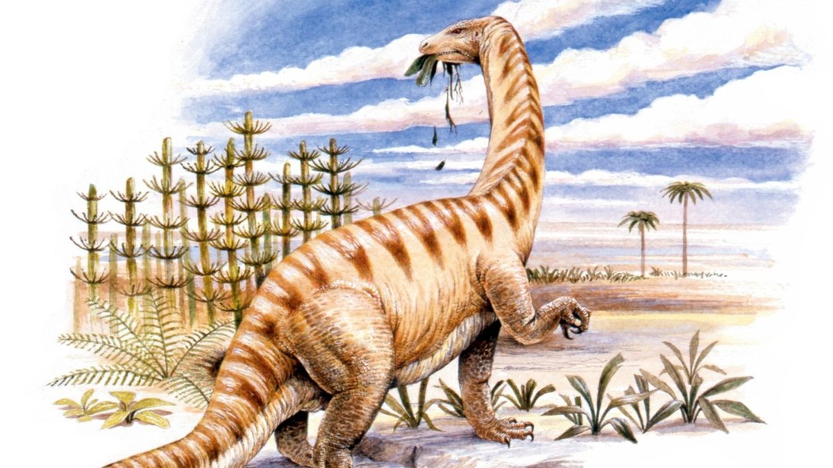 Národní poklad: V Číně našli vzácně zachovalou kostru lufengosaura